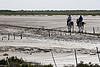 cavalli camargue