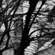 Introduzione di:
Valérie Donati - Collettivo Le Vocianti